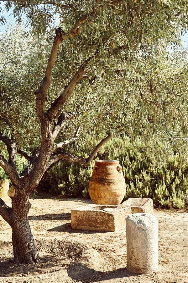 Nikolaou residence Aegina Exterior foto