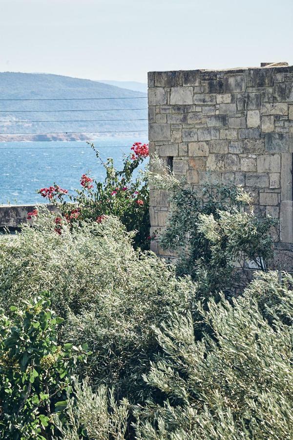 Nikolaou residence Aegina Exterior foto