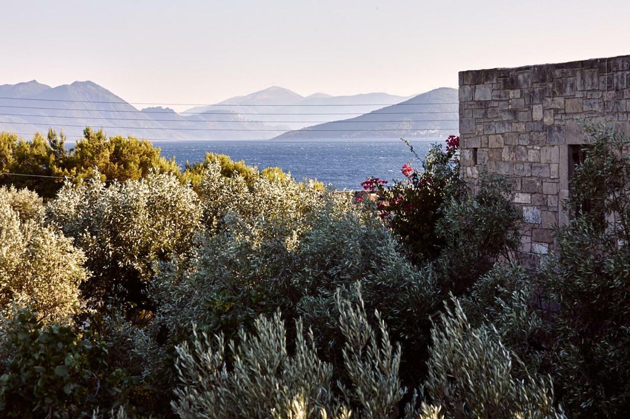 Nikolaou residence Aegina Exterior foto
